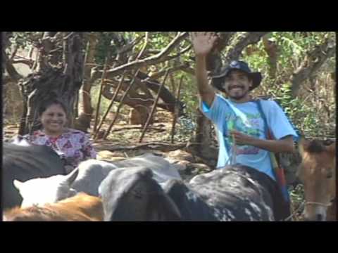 SANGRE MORENA - SOY GUANACO