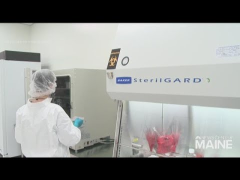 Brunswick company making scientific advances toward more effective prescriptions at lower costs