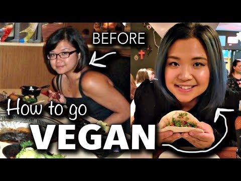 download lagu mp3 mp4 Vegan Food Starter Kit, download lagu Vegan Food Starter Kit gratis, unduh video klip Vegan Food Starter Kit