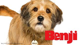 Benji (2018) Theme Song: &quot;Almost Home.&quot;