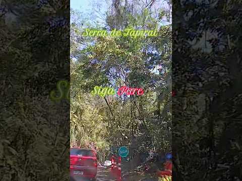 Serra do Tapiraí 19.ago.26 Siga/Pare #desvio #shorts #tapirai #youtubeshorts