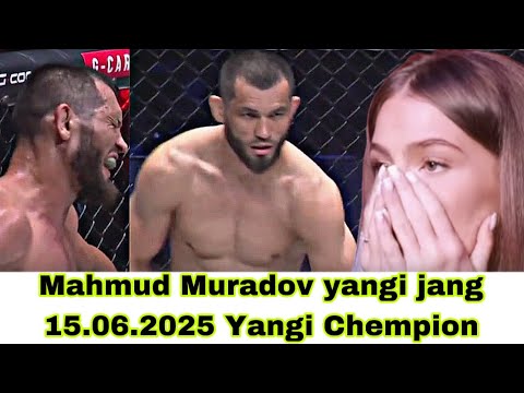 Mahmud Muradov Yangi Jangi 15.06.2025 | DAXSHAT JANG| Махмуд Мурадов Янги Жанг #uzb #uzbekistan #mma