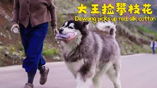 Re: [問卦] 中國大陸生活水平感覺比台灣還好