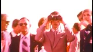 Neon Indian - Heart Decay