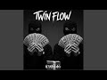 Twin Flow