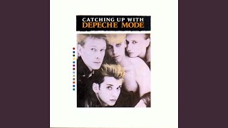 Fly on the Windscreen