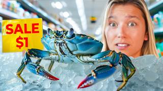 Raising a Grocery Store Crab as a Pet Screenshot