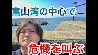 【認知症】富山湾からお届け!【予防】