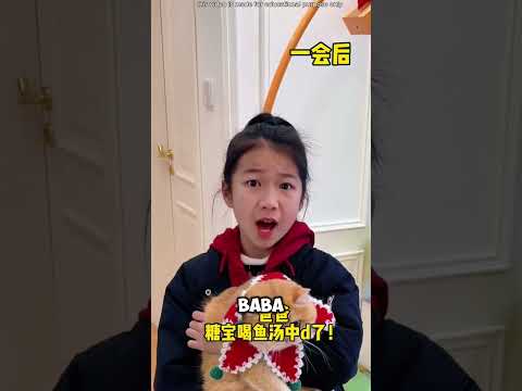 Kedi akvaryumun içindekileri içti… Büyük hata!