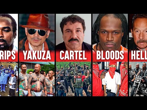 Here are the 6 most dangerous gangs in the world