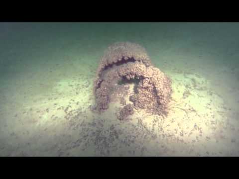 Tauchen im Bodensee - Lädine