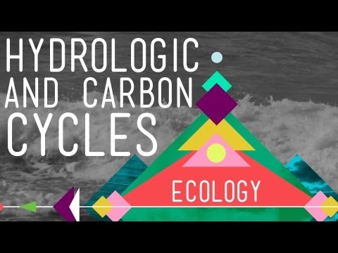 The Hydrologic and Carbon Cycles: Always Recycle! - Crash Course Ecology #8