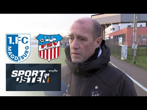 Zwickau-Trainer Joe Enochs: Malik Talabidi "hat einen sehr guten Eindruck hinterlassen"