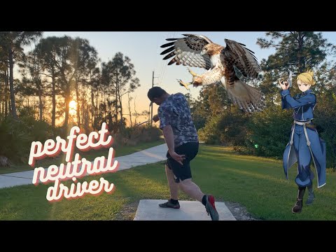 Sharpshooter Fairway: The Innova Hawkeye