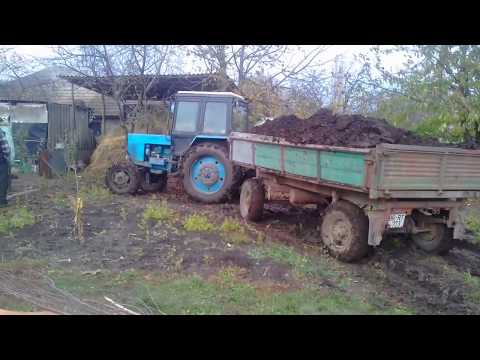 3.11.2017 МТЗ 82 тянет 8 Тонн.БУКСУЕТ.Вывоска навоза по БЕЗДОРОЖЬЮ
