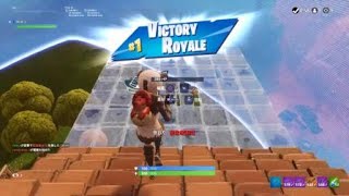 Fortnite_beautiful win
