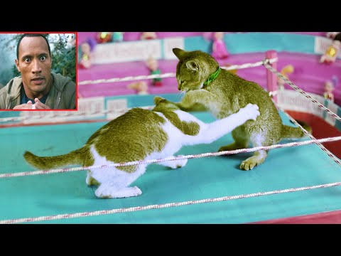 Why Do Wrestlers Choose “Cat and Dog” Names?