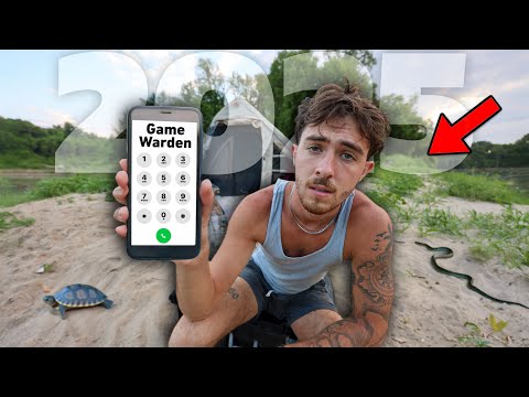 Finatic Best of 2025 