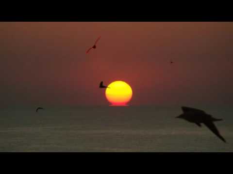 Emilian Onciu - sa ne iubim pe tarmul marii negre