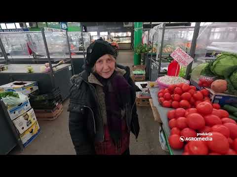 Pao sneg, ima li zime na gradskoj pijaci u Bloku 44 | Ovo su REŠENJA Domaćih Proizvođača