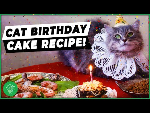 Cat Birthday Cake Recipe To Celebrate Their Special Day | Ultimate Pet Vet