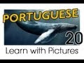 Marine animals in Portuguese