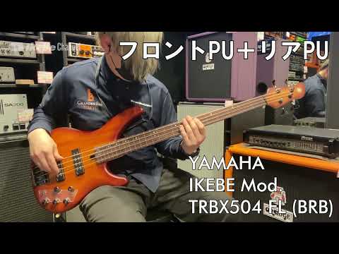 【Ikebe B-Sound Check】YAMAHA IKEBE Mod. TRBX504 FL (BRB)【試奏動画】