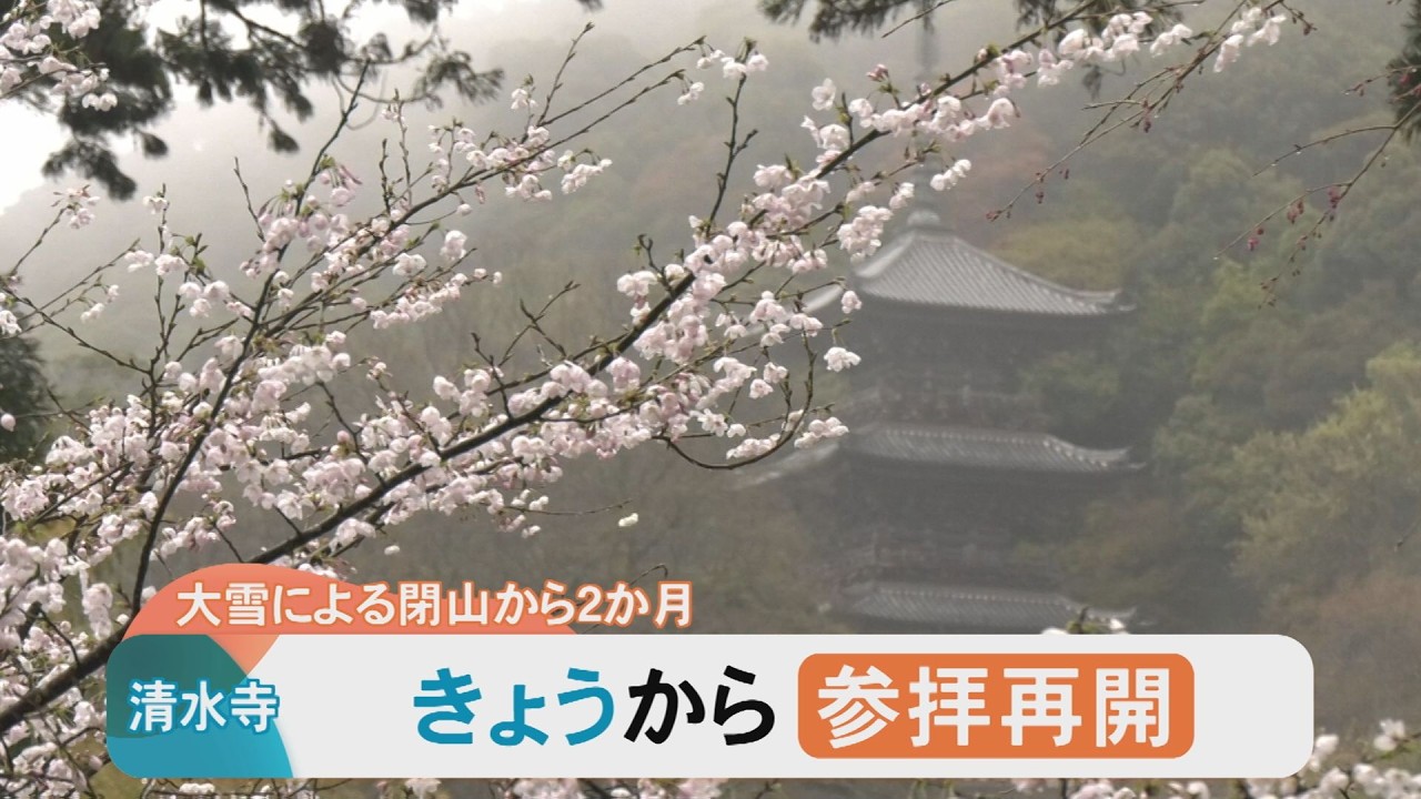 大雪の影響で閉山…清水寺が2か月振りに参拝再開　桜の名所、見ごろに間に合う