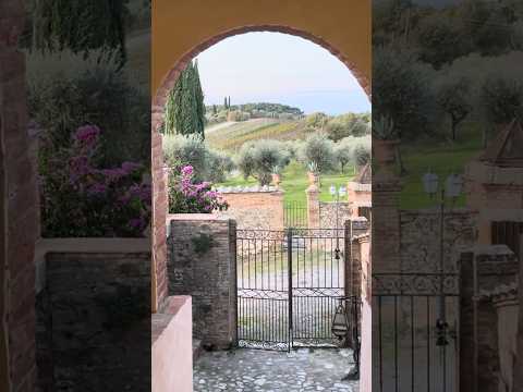 Golden light over the Tuscan hills.