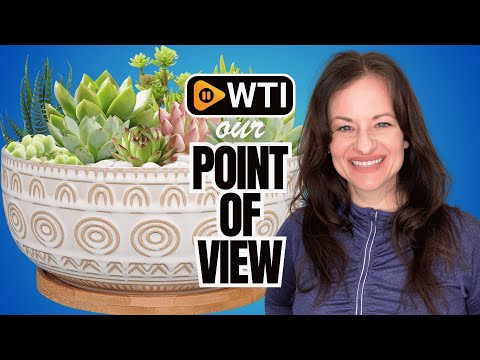 8 Inch Ceramic Succulent Planter Pot with Drainage Hole and Saucer Round Shallow Planter for Indoor Plants - WTI product video review