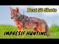 Record Breaking Fifty Coyote Hunting Shots Impressive Hunt Coyote Coyotes Wolf Hunting