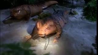 Janeway and Paris Turn Into Slugs | Star Trek Voyager