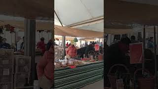 Nerpio Feria de la nuez: Disfrutar de este fin de semana