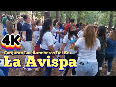 La Avispa Y La Bailamos La Del Conjunto Los Rancheros Del Sur