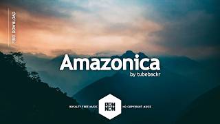 Amazonica - tubebackr | Royalty Free Music | RFM - NCM | No Copyright Music | Chill Music | Deep