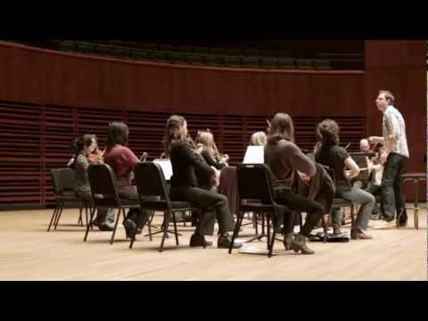 EXTRAIT CAPTATION VIOLON DU ROY