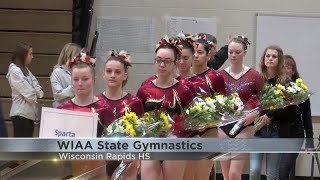 WIAA State Gymnastics