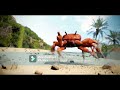 Crab Rave (Bass Boosted)