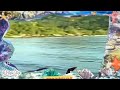 The Amazing World Babytv Sea Tortoise