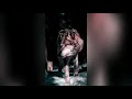 VALKAI ORU PORKALAM WHATSAPP STATUS TAMIL TODAY CREATION