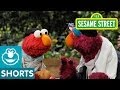 Sesame Street How To Be A Good Sport Training Sequence