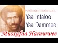 Musxafaa Harawwee Yaa Intaloo Fi Dammee Yaa Dammee Ragaamedia