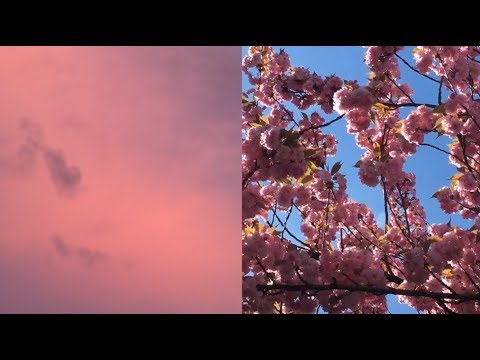 Video thumbnail for Облака (Clouds)