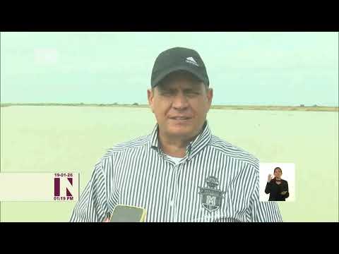 Empresa Sur del Jíbaro produce 25% del arroz en Cuba