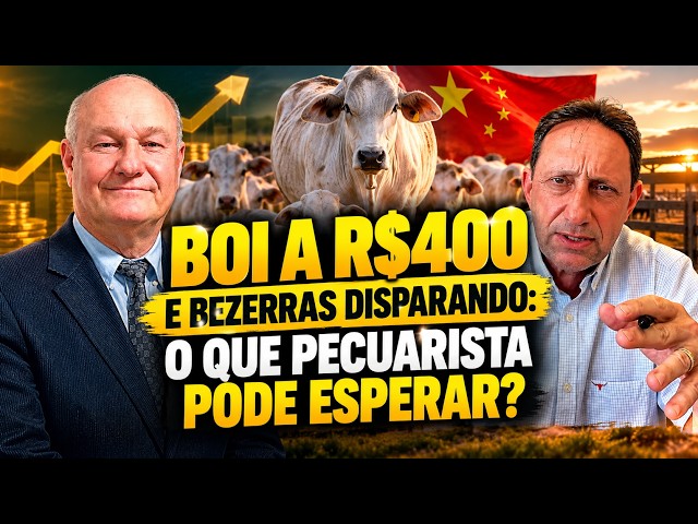 Boi a R$400 e bezerras disparando: o que pecuarista pode esperar?