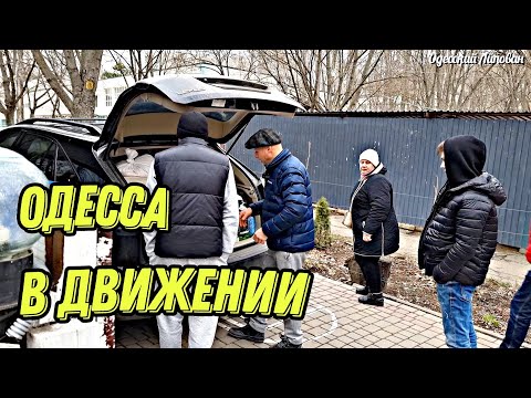 , title : 'Одесса в движении. 14 марта 2022. нашли приют для кошек'