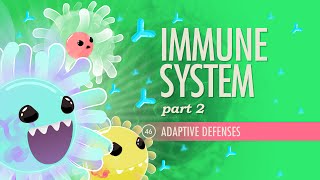 Immune System, Part 2: Crash Course Anatomy & Physiology #46