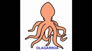 HIZTEGIA: ITSASOKO ANIMALIAK