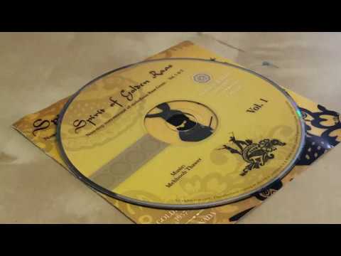 Non-stop instrumental of melodious Raas Geets -  Vol. 1