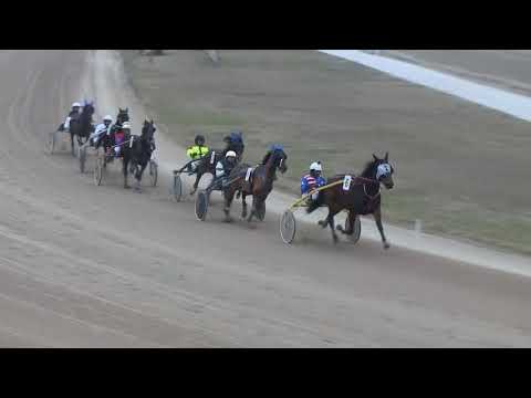 2018.02.10. 5. futam - DEER DUST HENDIKEP